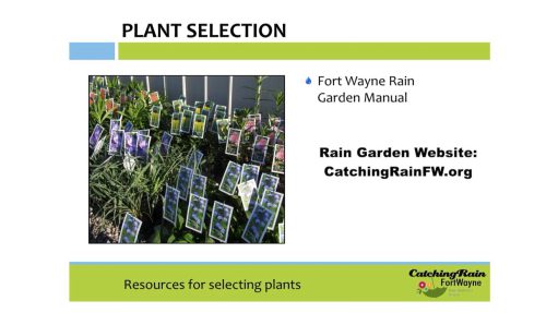 Chapter 4 Selecting Plants