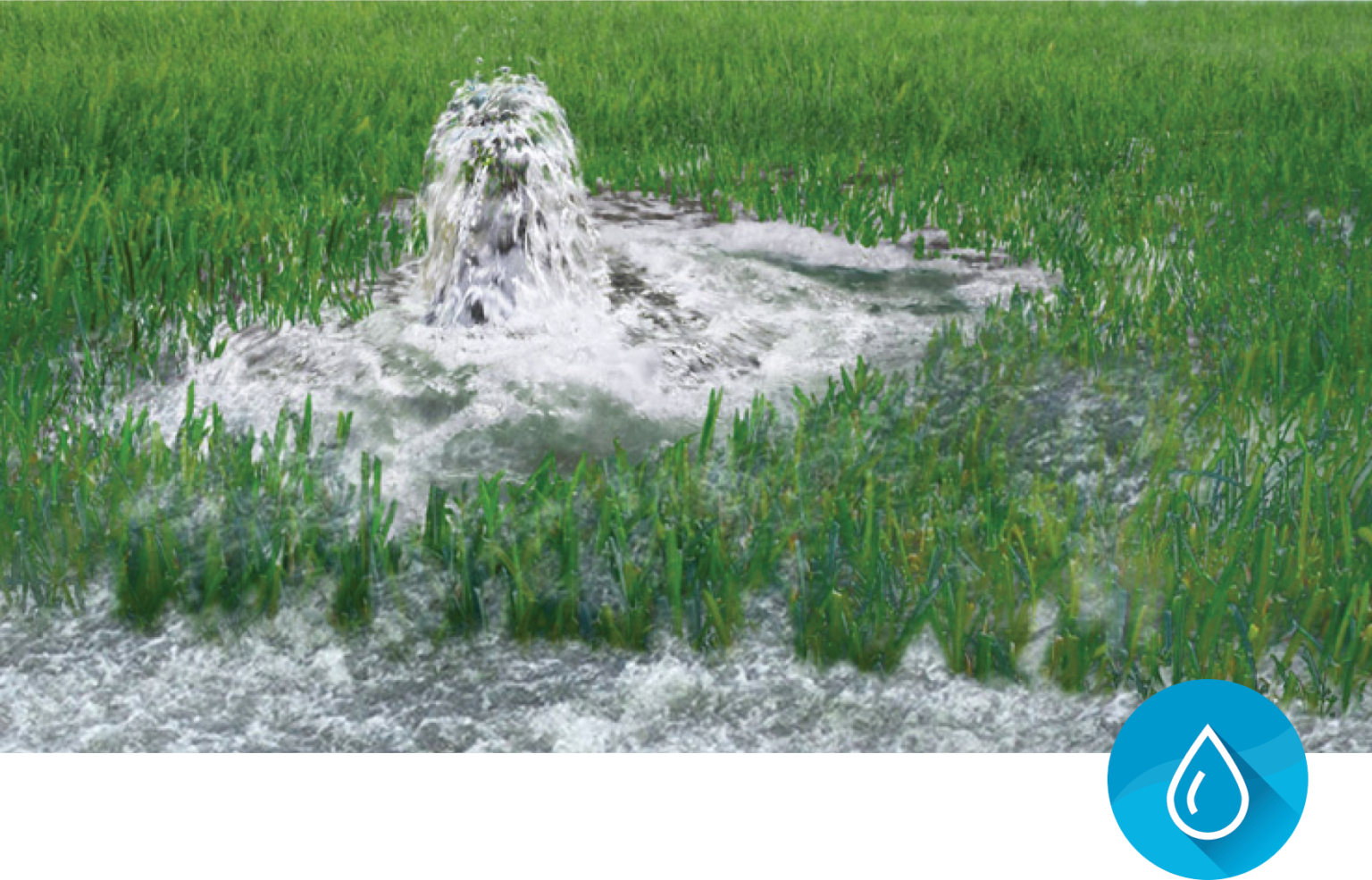 Service Line Protection Fort Wayne City Utilities