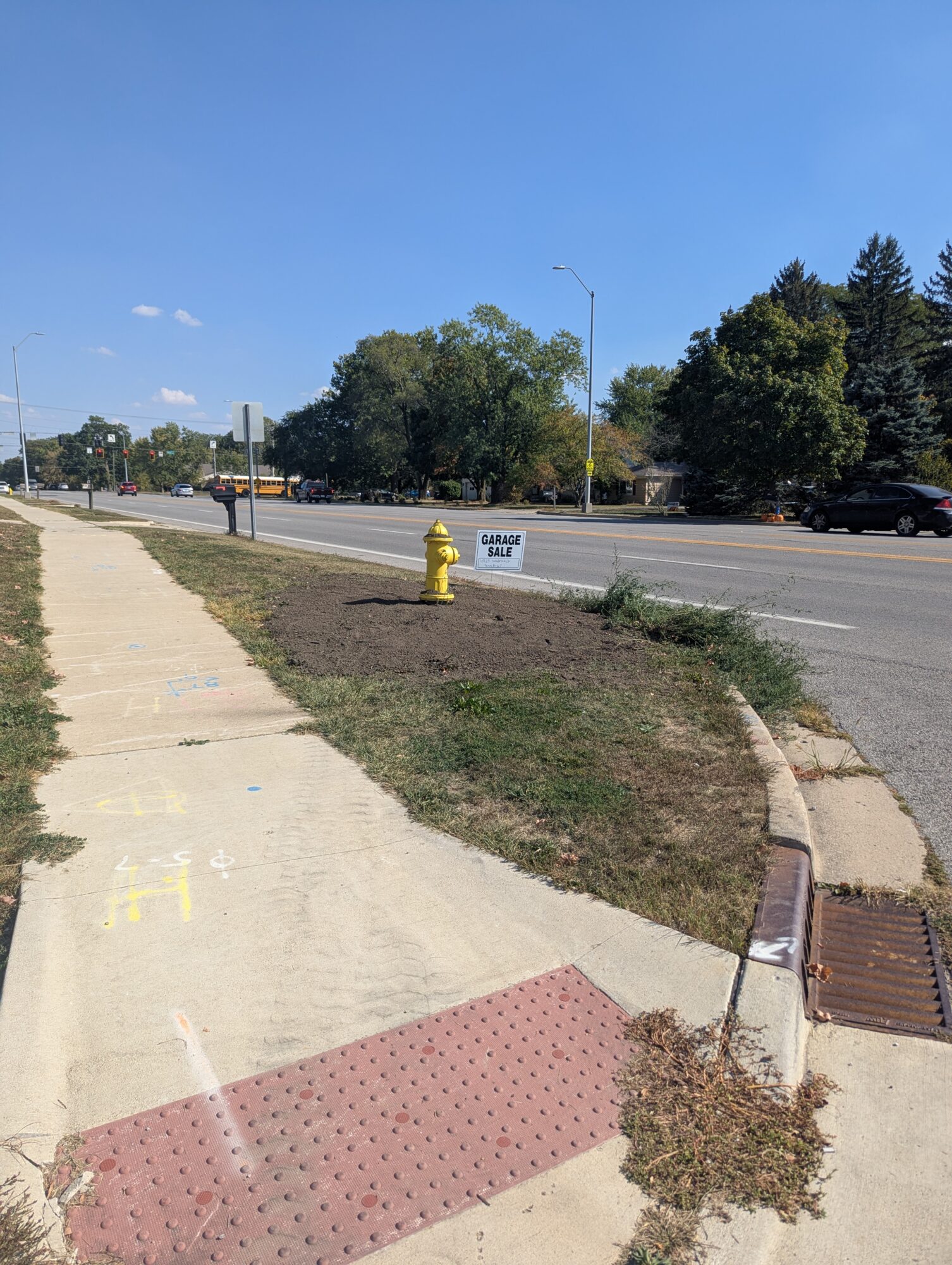 Dirt patch on the corner of a sidewalk