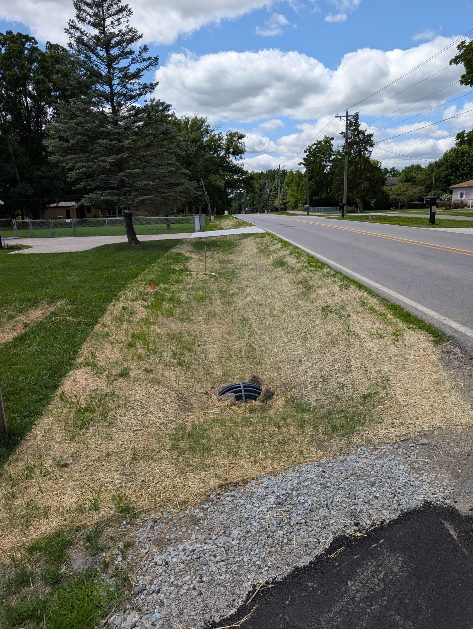 Straw over grass on a corner for restoration