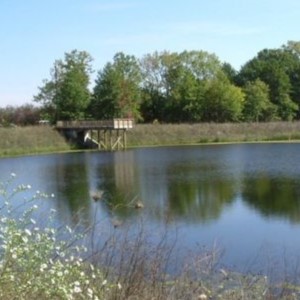 Photo of the pond and small dock at Camp Scott.