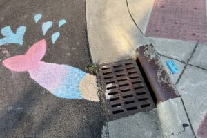 IMG_0681 Chalk drawing of a fish next to a storm drain.