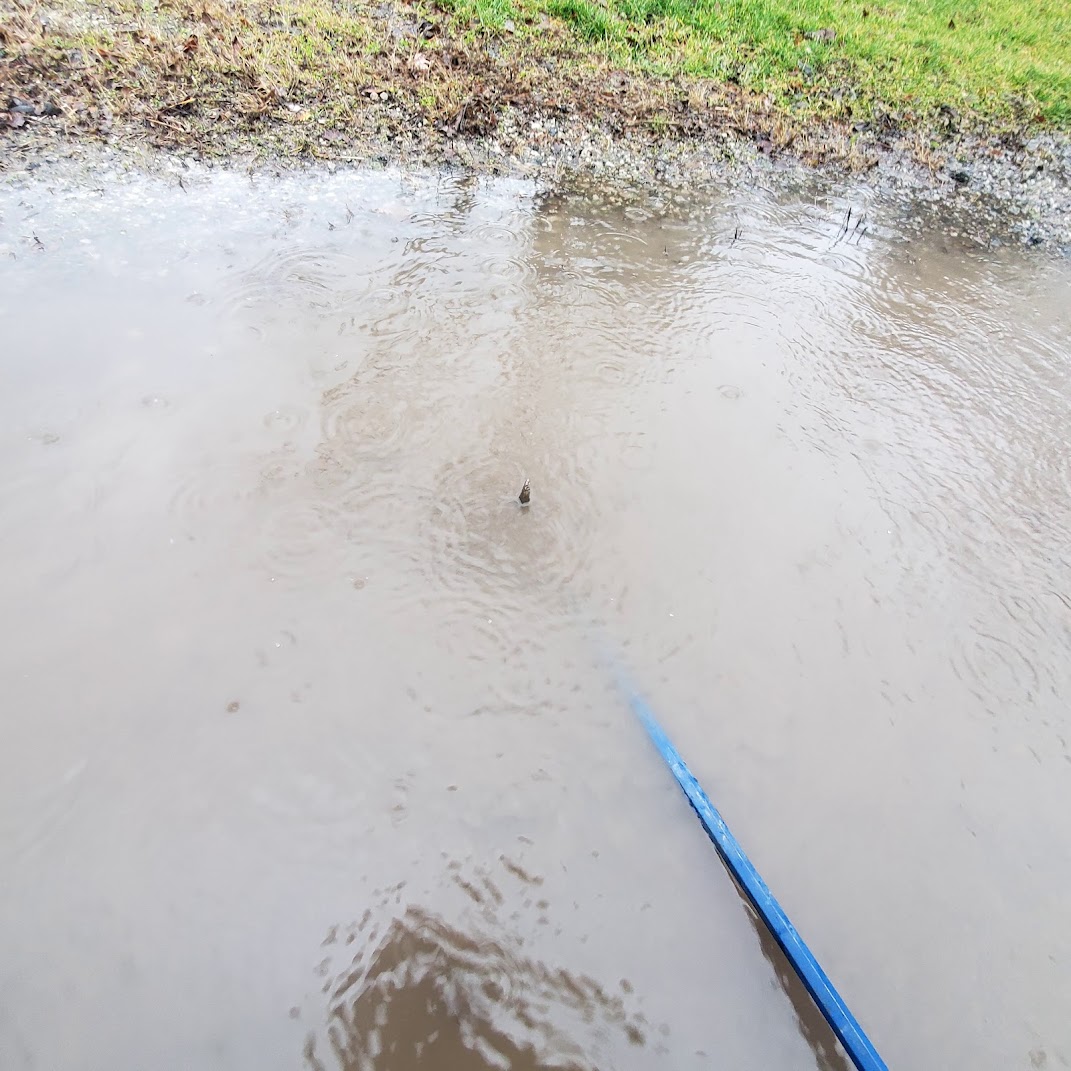 Depth of flooding in gras