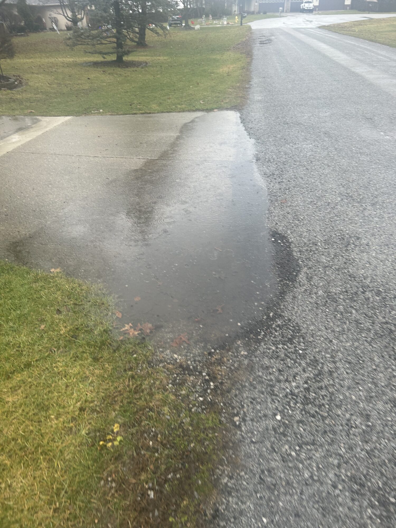 Standing water in a lawn