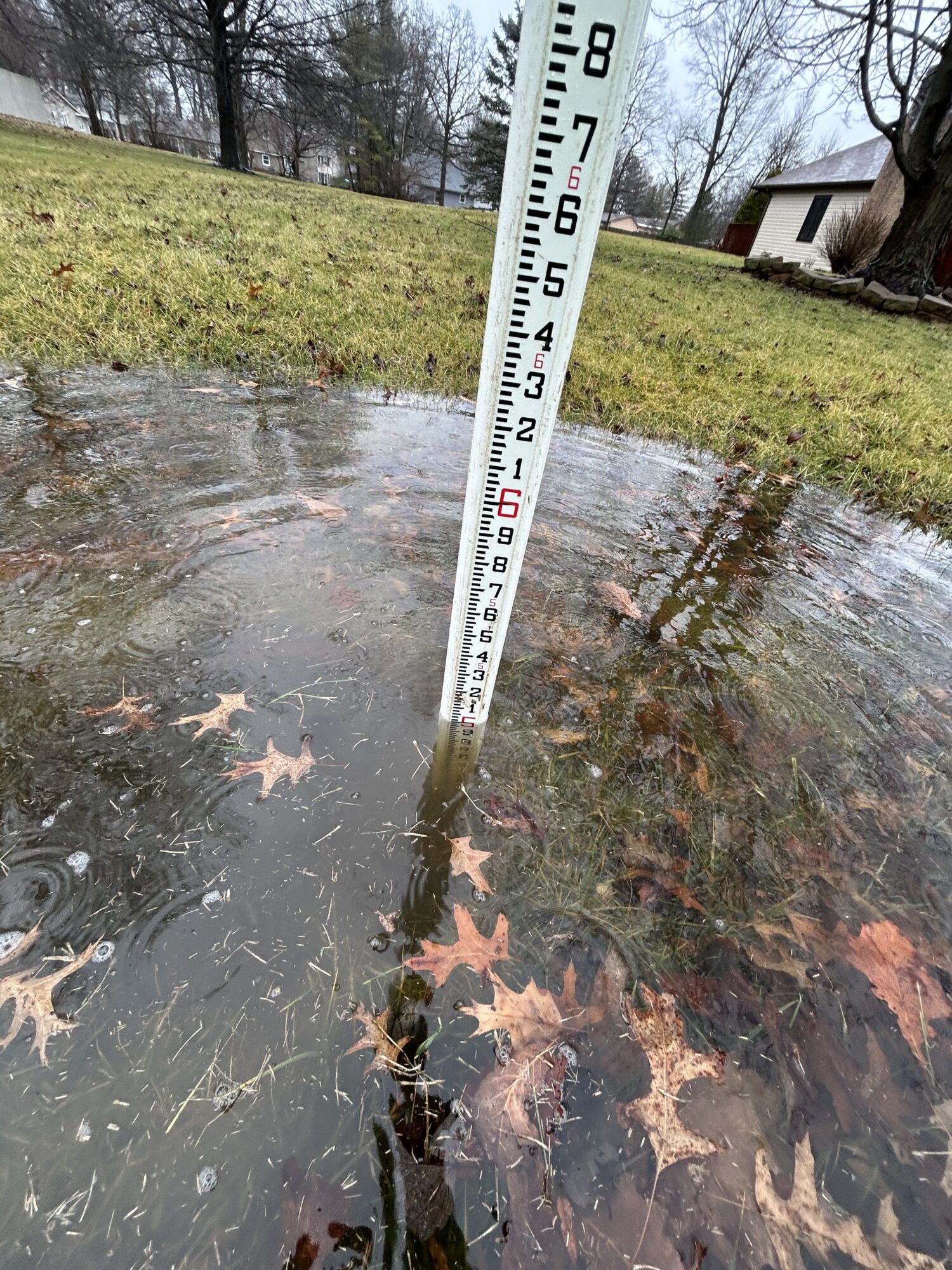 Flooded water with leaves at the end of the pole.
