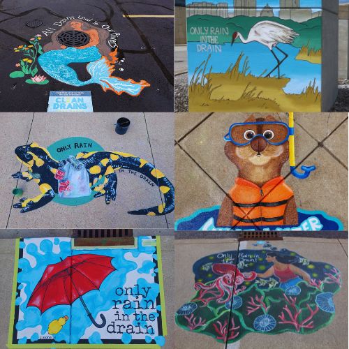 Untitled design (16) A collage of sidewalk murals that involve the importance of clean drains.