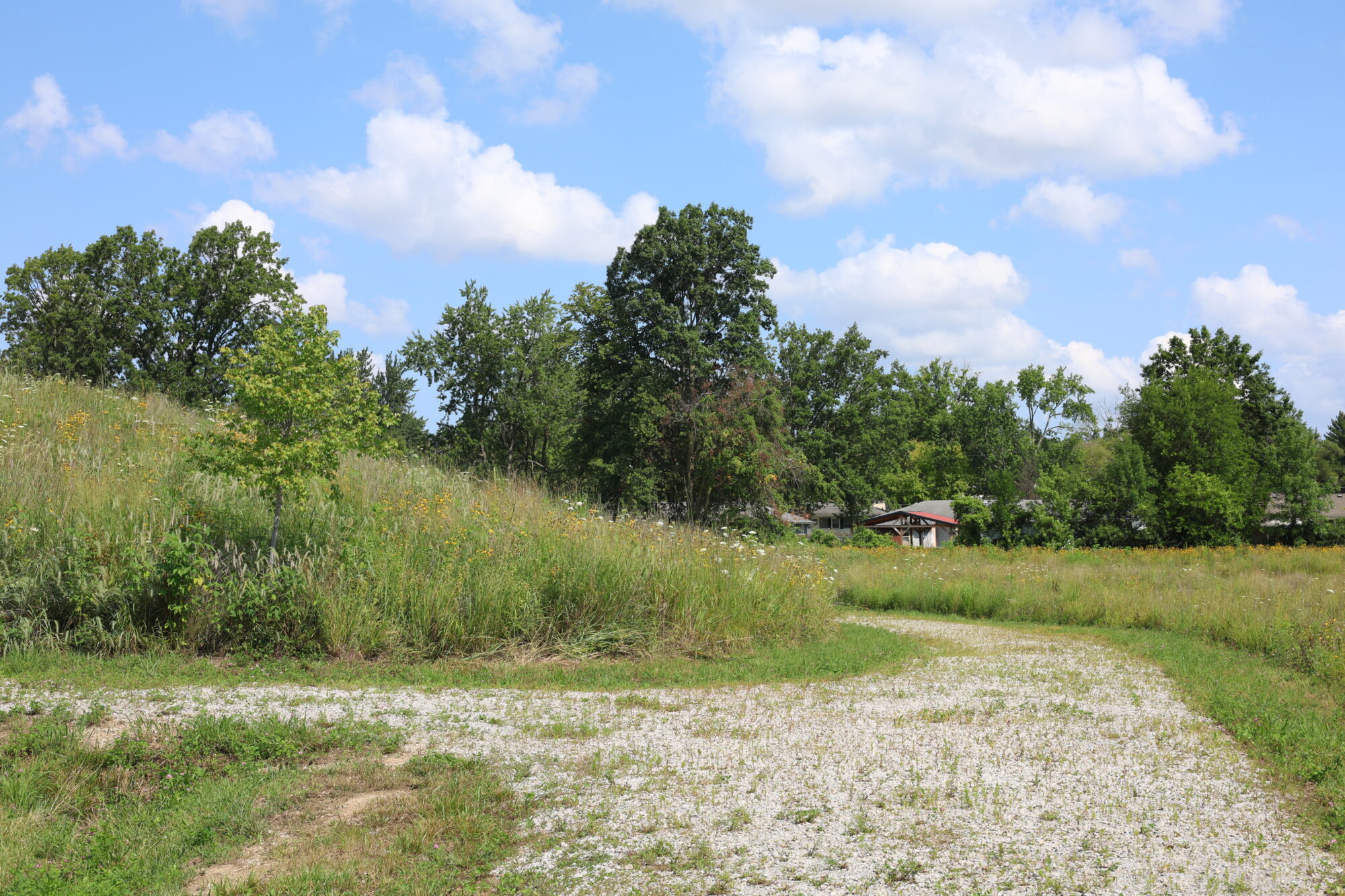 Trees along Colonial Heritage pathway and gravel walk way.